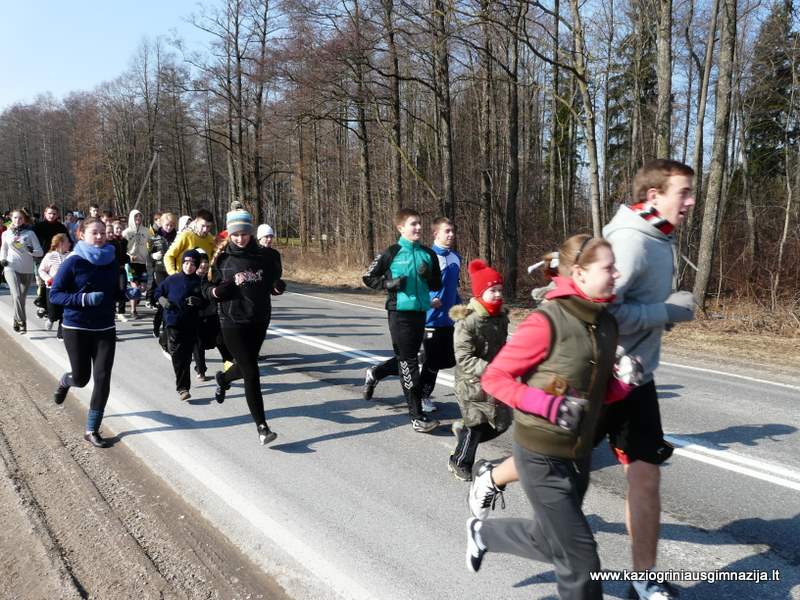 p1090830.jpg p1090830