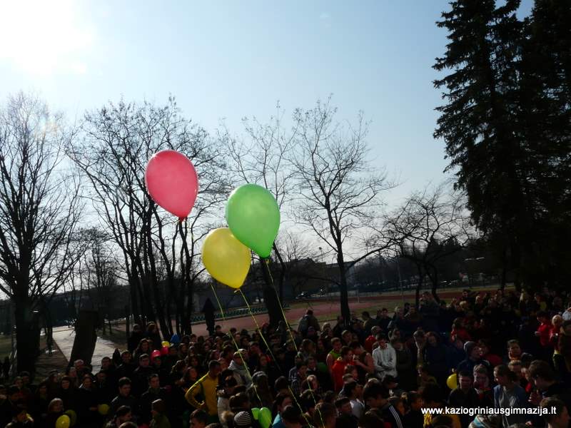 p1090883.jpg p1090883