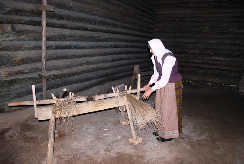 DSC_3538.jpg DSC_3538