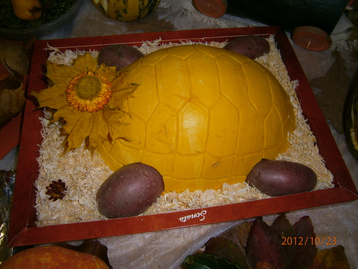 19.jpg 19