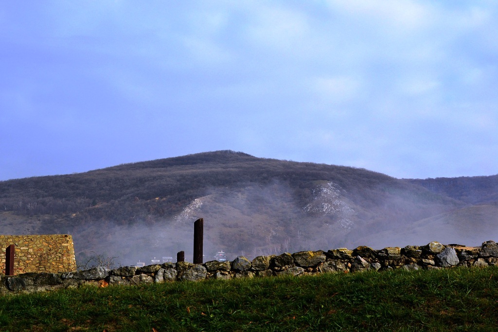 dsc_0209