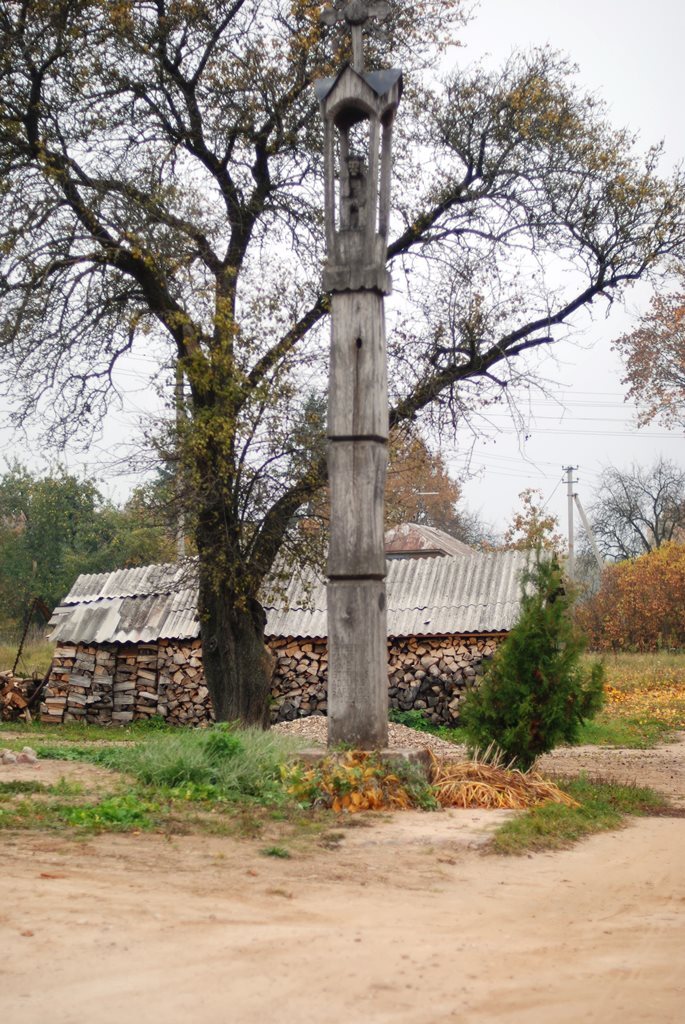 dsc_0001.jpg dsc_0001