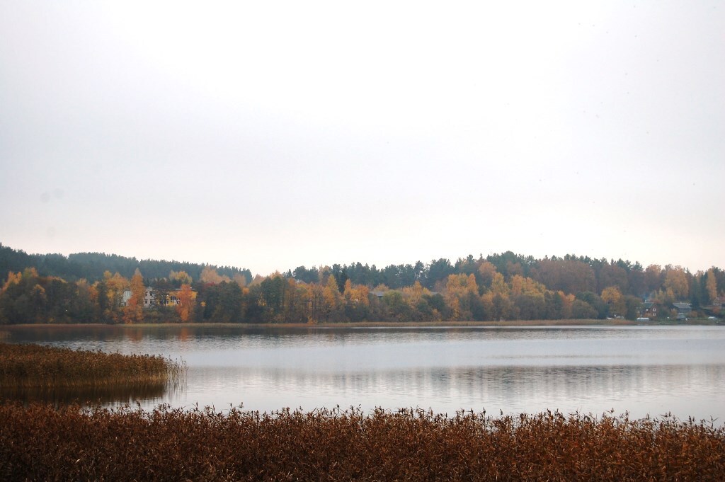 dsc_0519.jpg dsc_0519