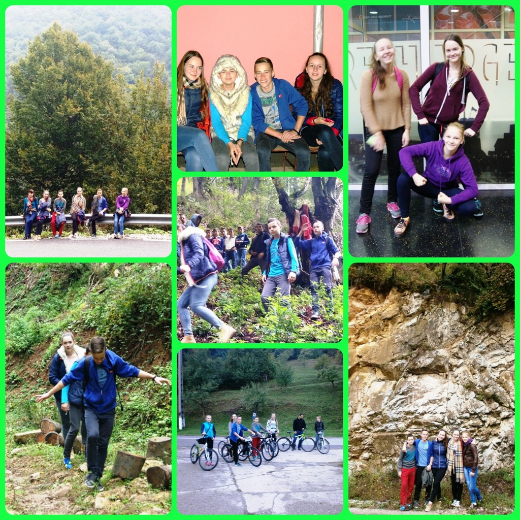 PicMonkey-Collage-1.jpg PicMonkey-Collage-1