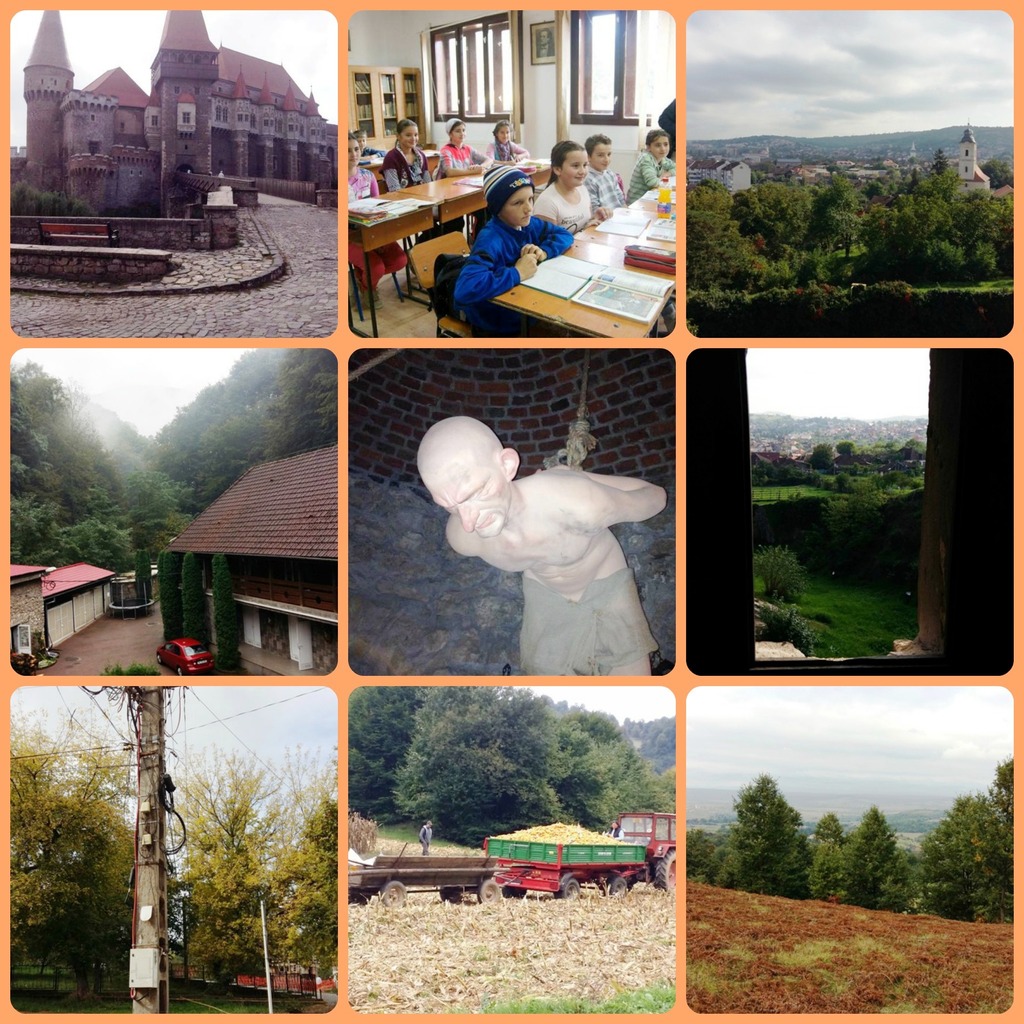 PicMonkey-Collage10.jpg PicMonkey-Collage10
