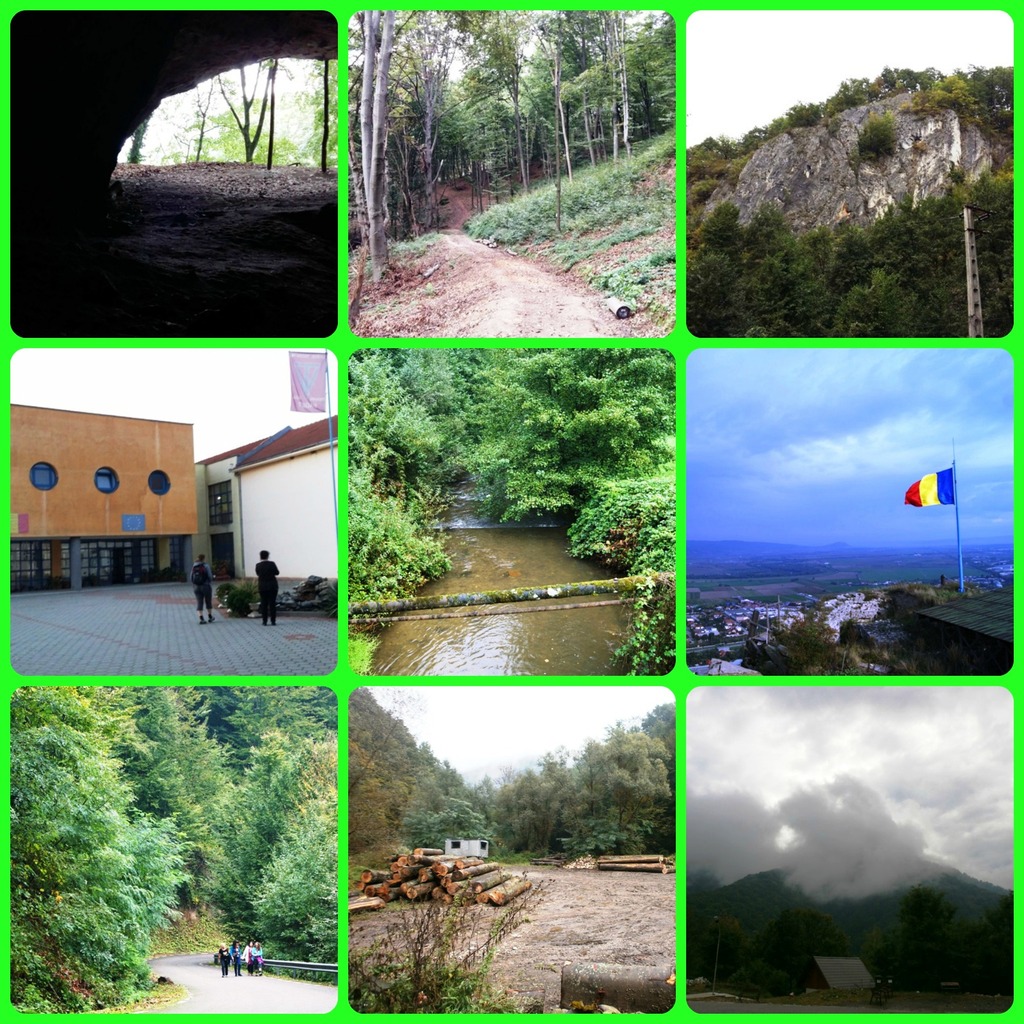 PicMonkey-Collage12.jpg PicMonkey-Collage12