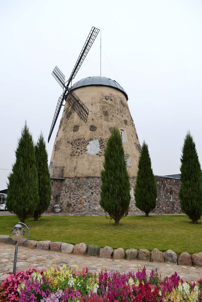 dsc_7549.jpg dsc_7549