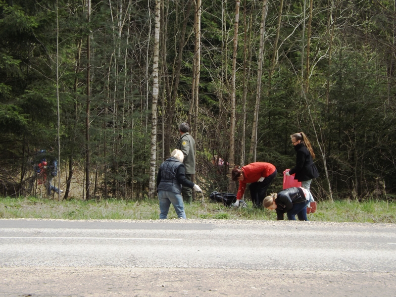 Picture-011.jpg Picture-011