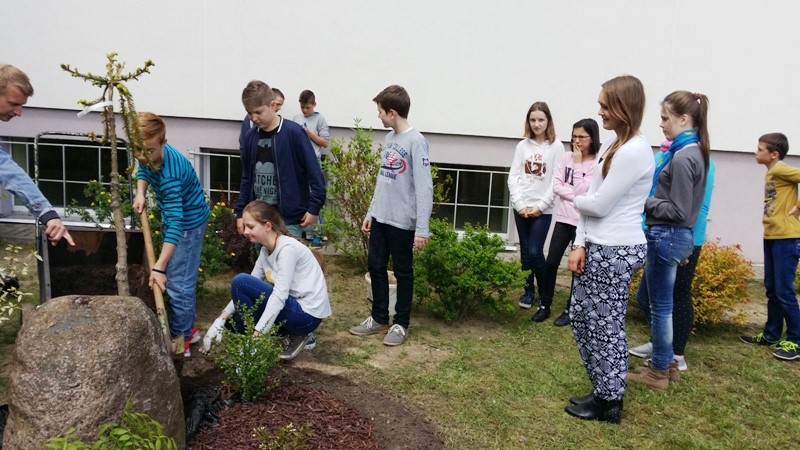 20150522_125225.jpg 20150522_125225