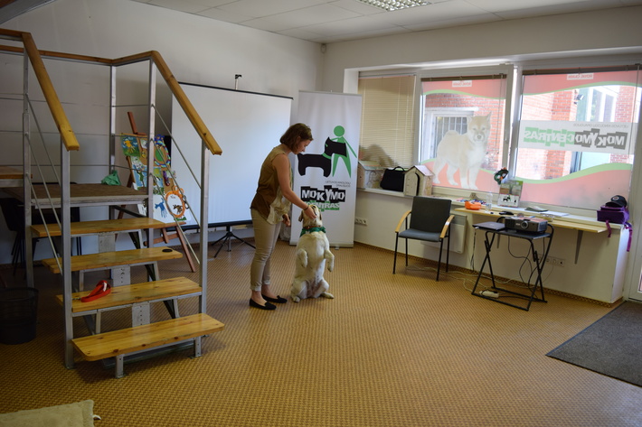 DSC_0184.jpg DSC_0184
