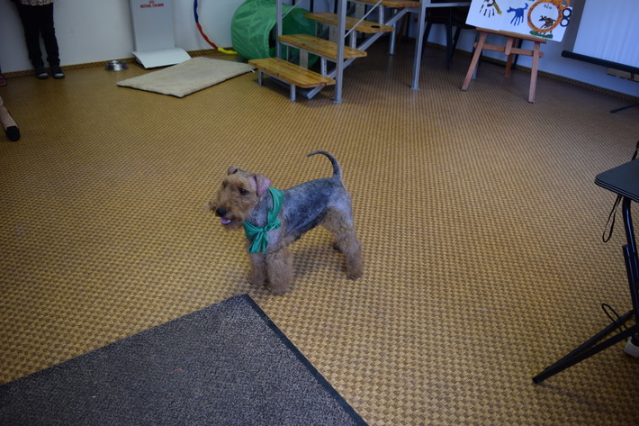 DSC_0208.jpg DSC_0208