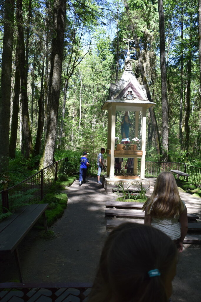 DSC_0435.jpg DSC_0435
