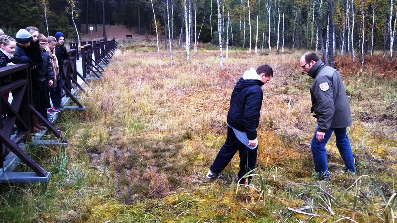 Picture-024.jpg Picture-024