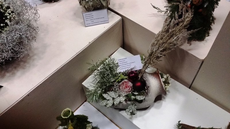 20151210_105139.jpg 20151210_105139
