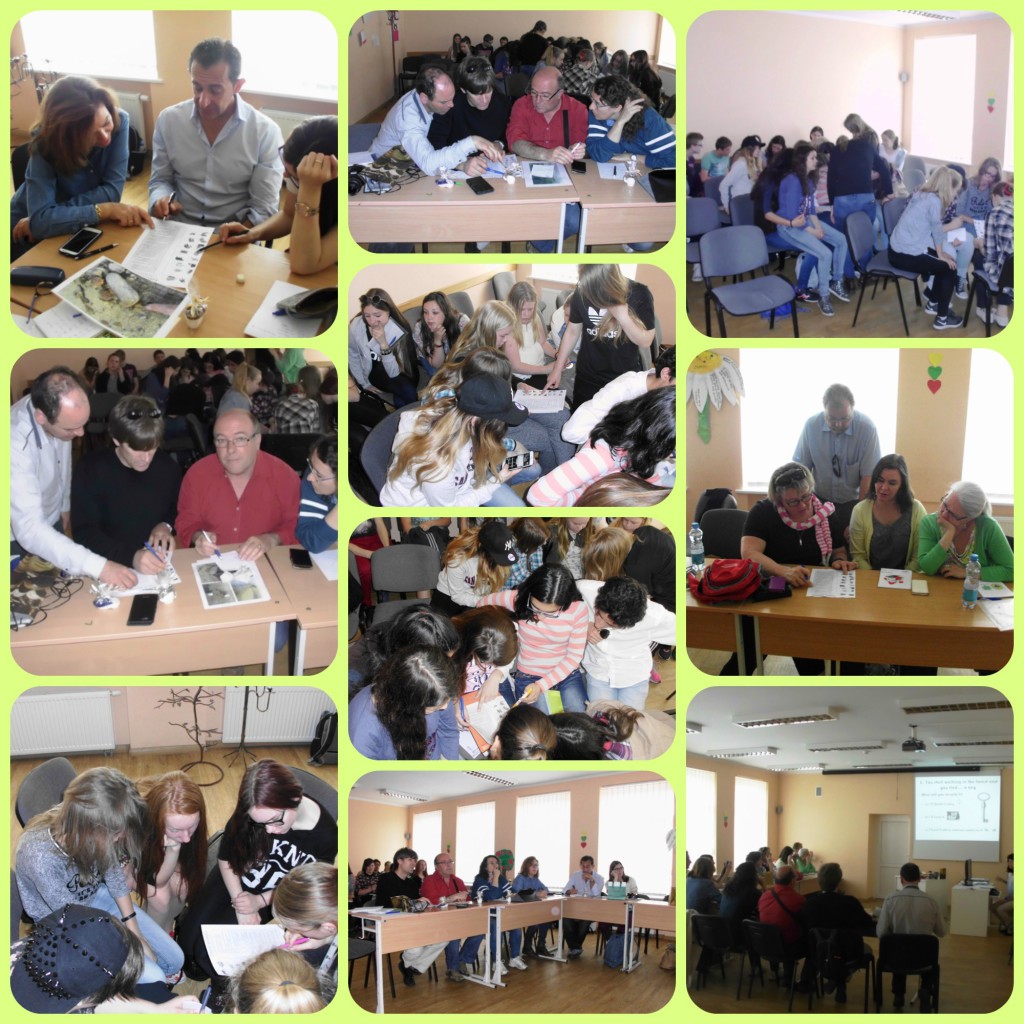 PicMonkey-Collagedsf.jpg PicMonkey-Collagedsf