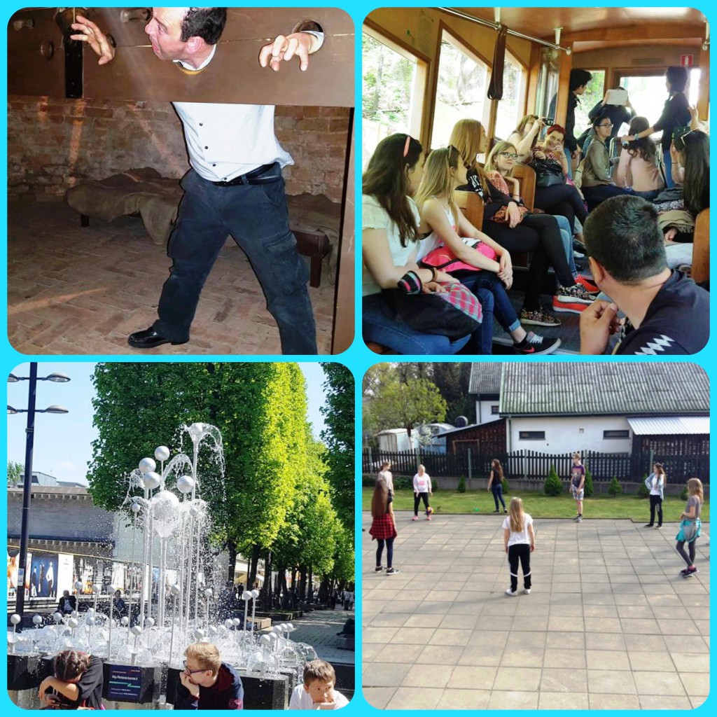 PicMonkey-Collagegh.jpg PicMonkey-Collagegh