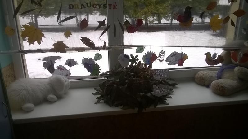 WP_20161116_09_51_56_Pro.jpg.JPG.jpg WP_20161116_09_51_56_Pro.jpg.JPG