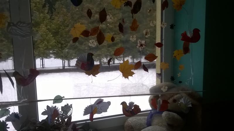WP_20161116_09_52_01_Pro.jpg.JPG.jpg WP_20161116_09_52_01_Pro.jpg.JPG