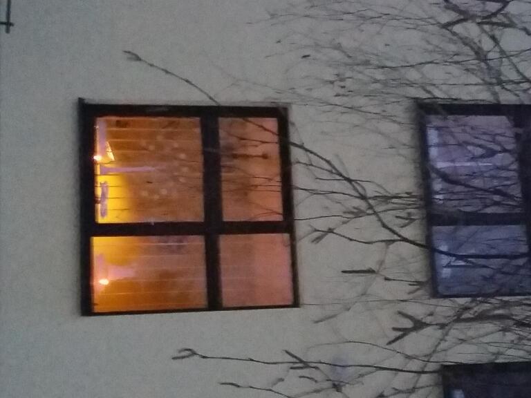 20170113_081528.JPG