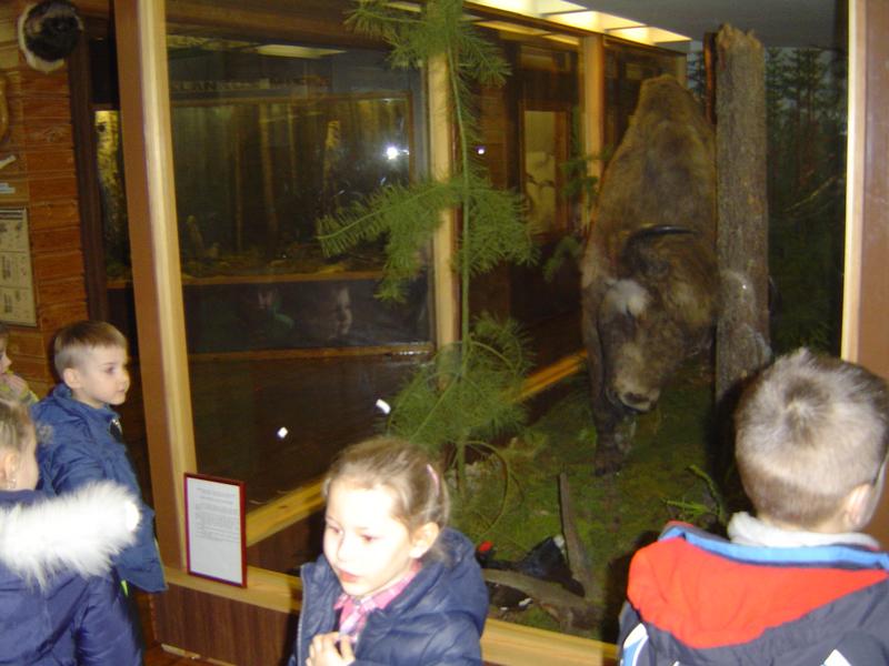 DSC02834.JPG.jpg DSC02834.JPG