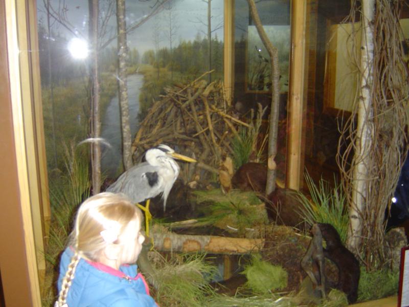 DSC02838.JPG.jpg DSC02838.JPG