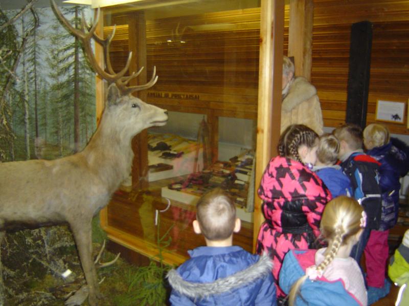 DSC02847.JPG.jpg DSC02847.JPG