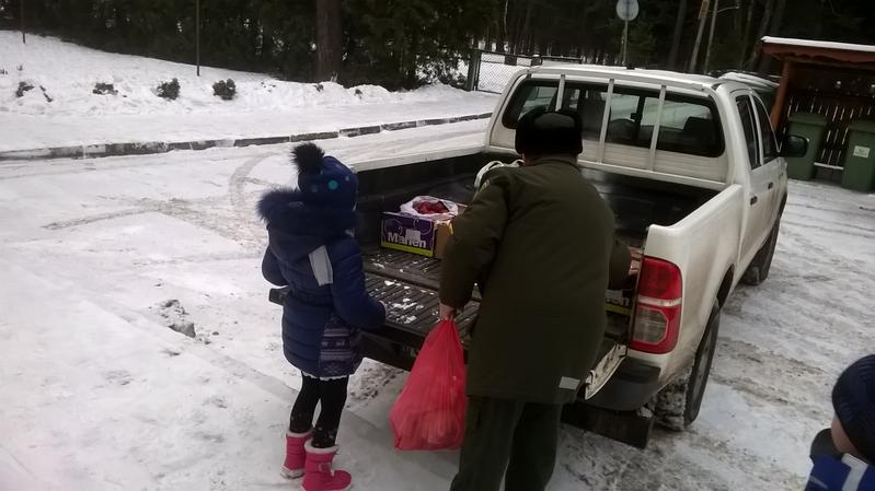 WP_20170119_10_31_55_Pro.JPG.jpg WP_20170119_10_31_55_Pro.JPG