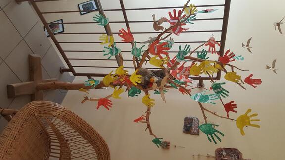 20170323_102038.JPG