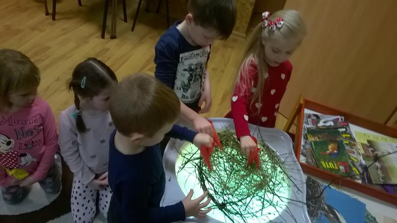 WP_20170306_09_11_36_Pro.JPG.jpg WP_20170306_09_11_36_Pro.JPG
