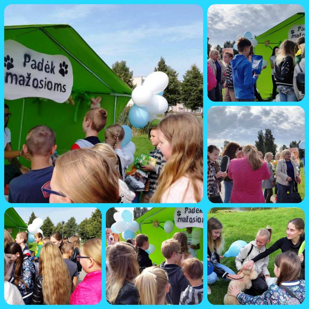 PicMonkey-Collage.jpg PicMonkey-Collage