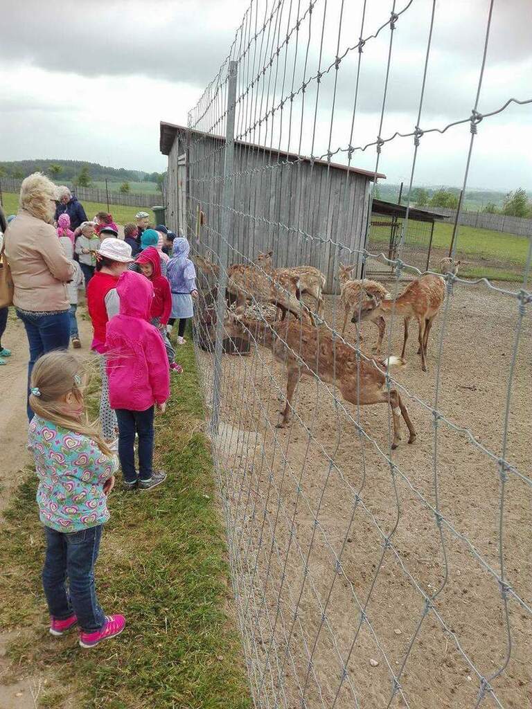 received_1313864155328293