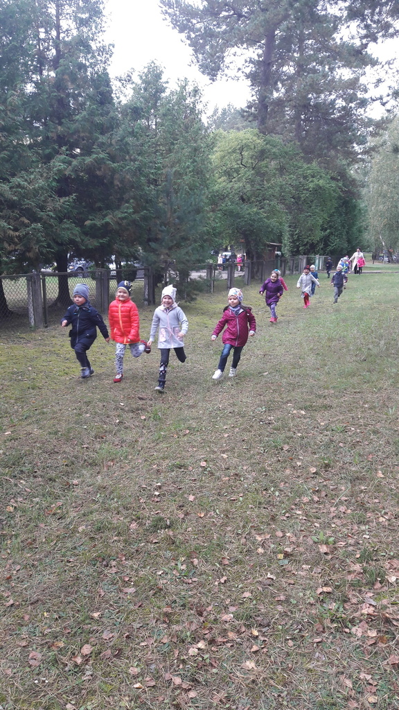 20170920_105311.jpg 20170920_105311