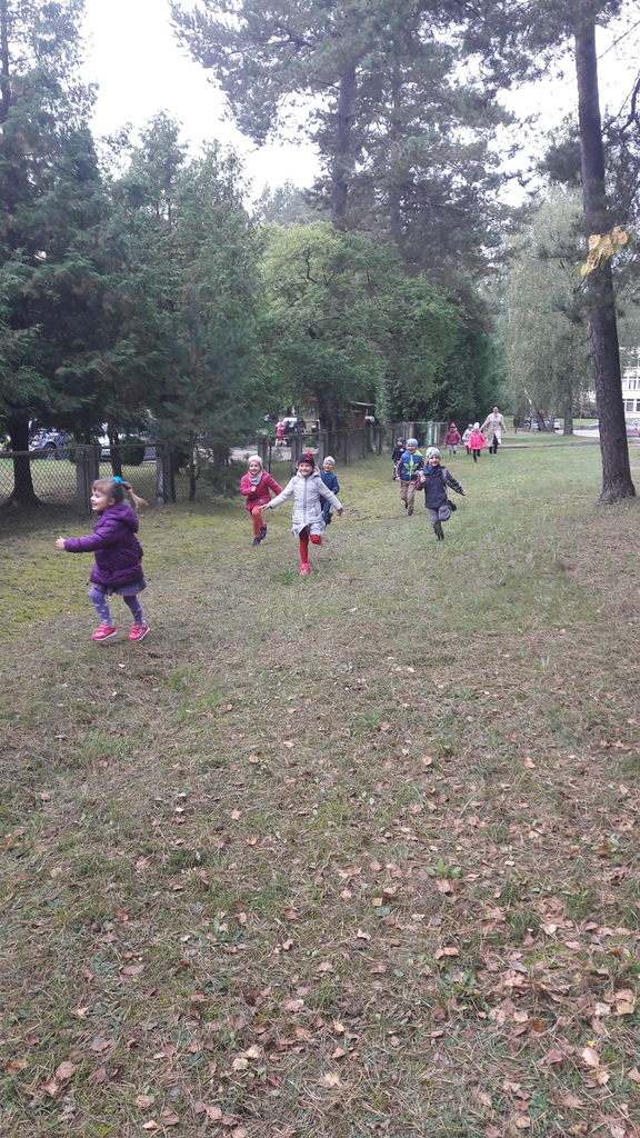 20170920_105313.jpg 20170920_105313