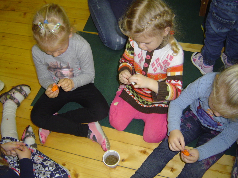 DSC04002.jpg DSC04002