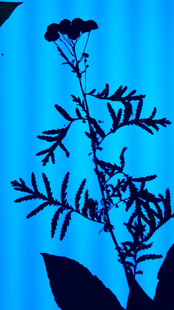 20171130_133857