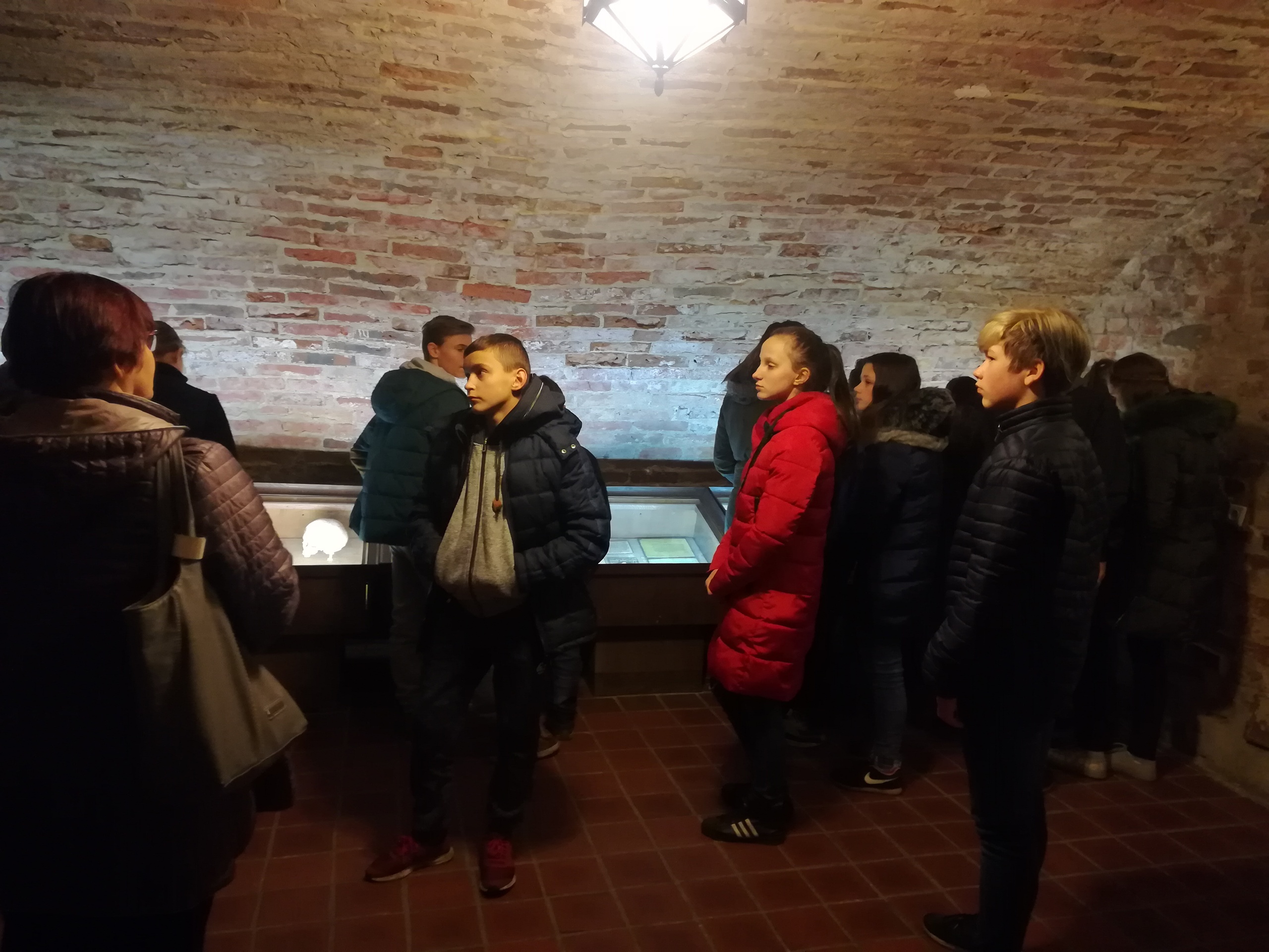 IMG_20171124_104456.jpg