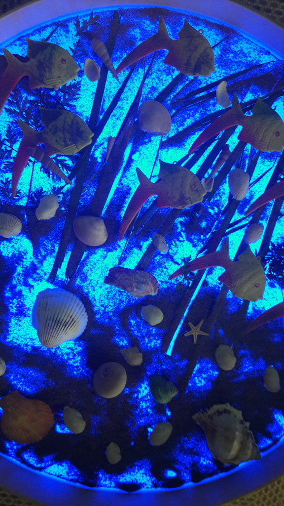20180212_141933.jpg 20180212_141933