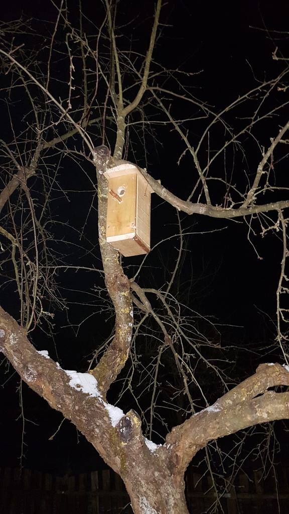20180227_193544.jpg 20180227_193544