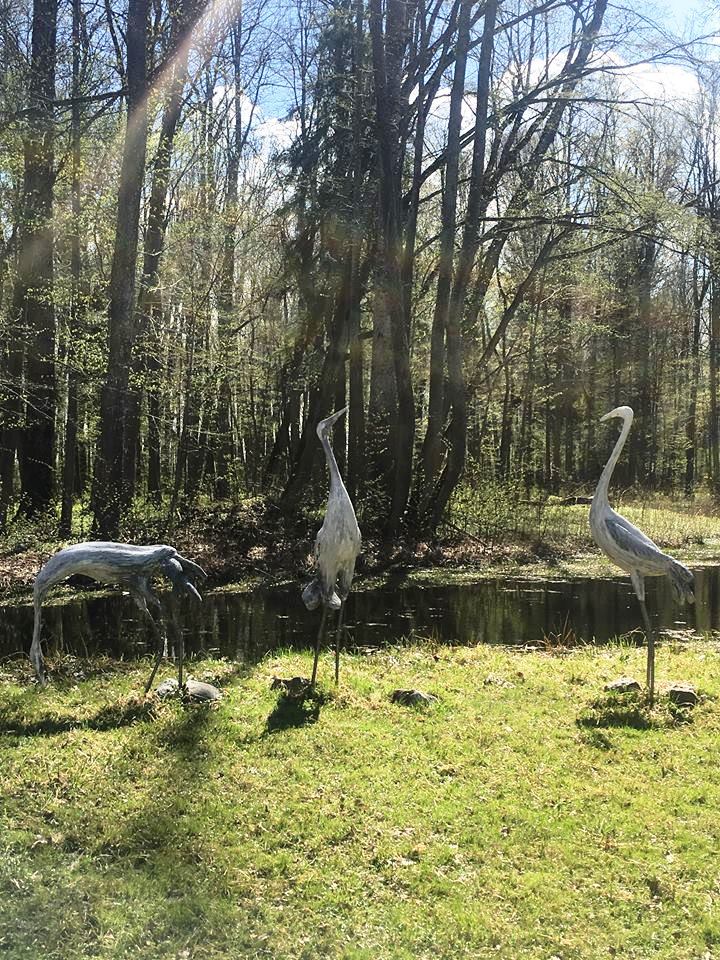 31235063_1902241509795244_5848582650591182848_n.jpg 31235063_1902241509795244_5848582650591182848_n