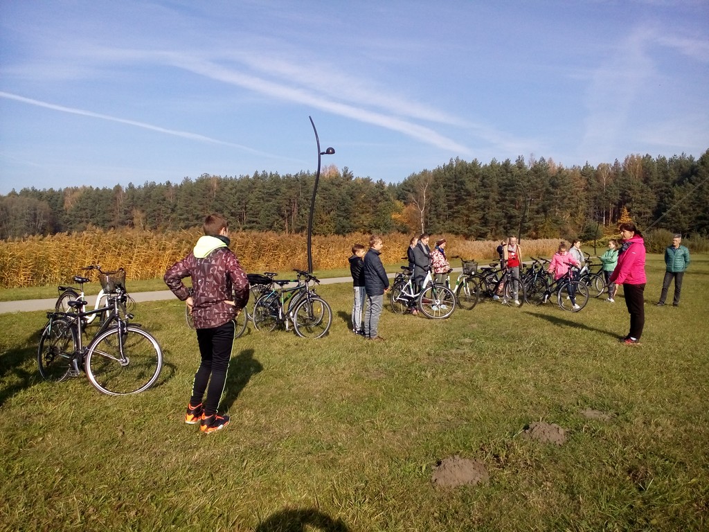 IMG_20181010_115015.jpg IMG_20181010_115015