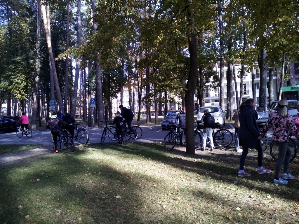 IMG_20181010_122500.jpg IMG_20181010_122500