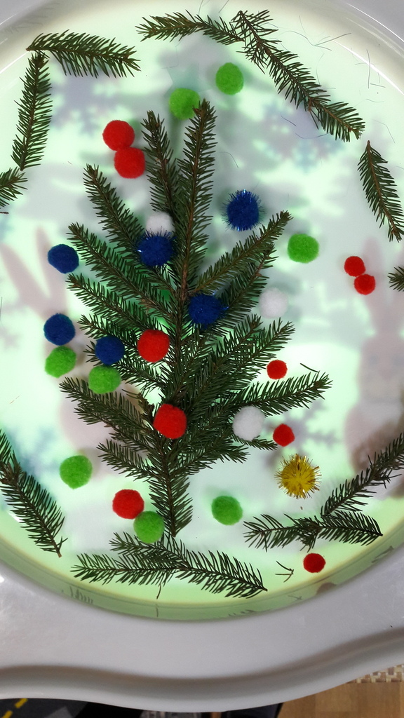 20181219_100807