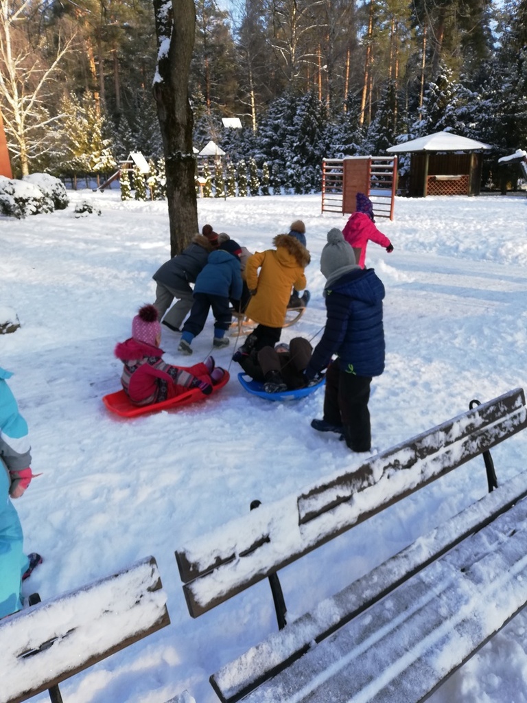 IMG_20190123_104505