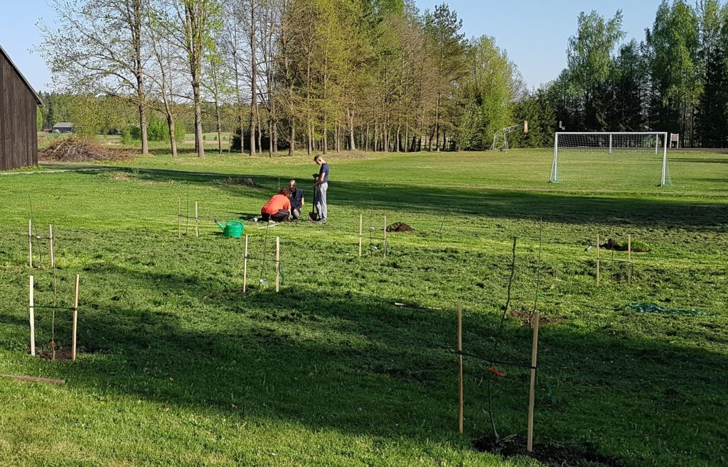 20190429_173713.jpg 20190429_173713