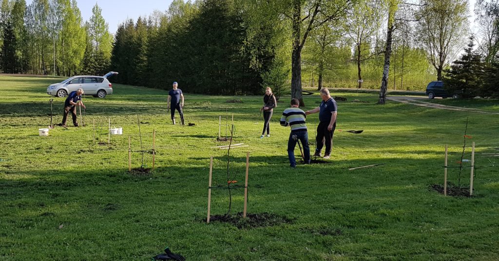 20190429_173719-Copy.jpg 20190429_173719-Copy