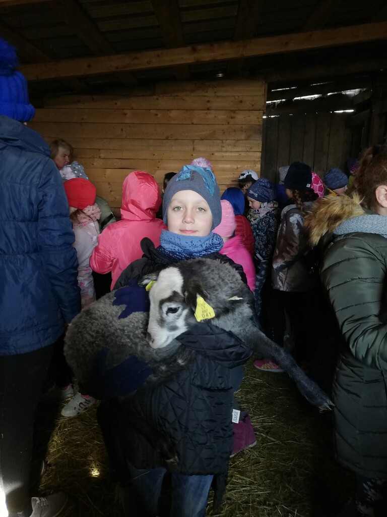 IMG_20190412_103714