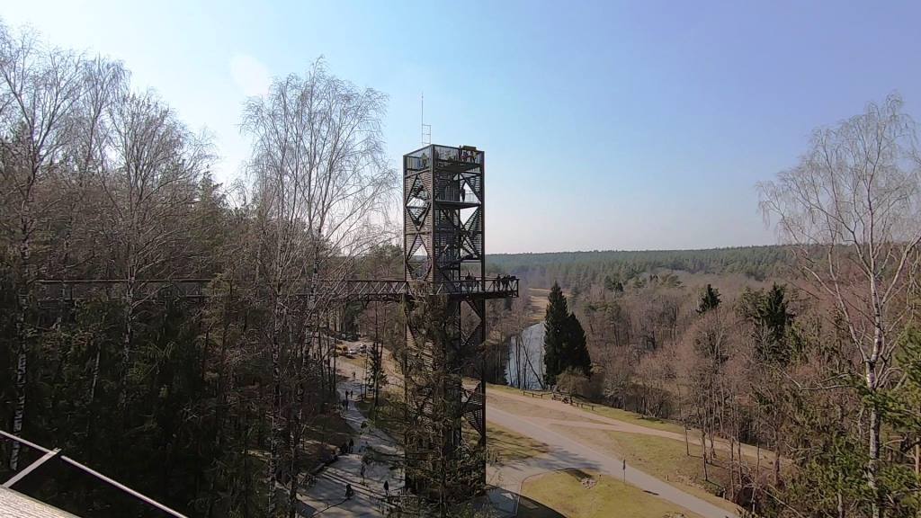 The_Treetop_Walking_Path.jpg The_Treetop_Walking_Path