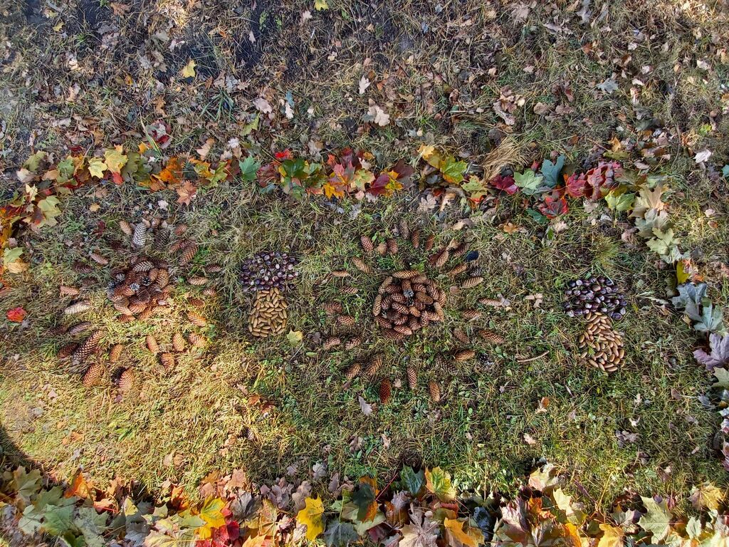 126177268_218702013066316_5928264368845596942_n