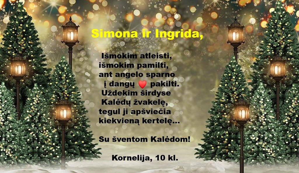 15.jpg 15