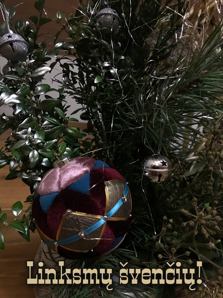 Viltė_Banionytė_2_kl._2